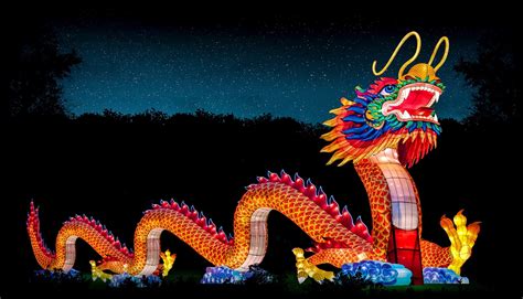 festival of lights redding ca|GLOWING WILD LANTERN FESTIVAL AT TURTLE BAY .